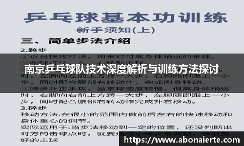 南京乒乓球队技术深度解析与训练方法探讨